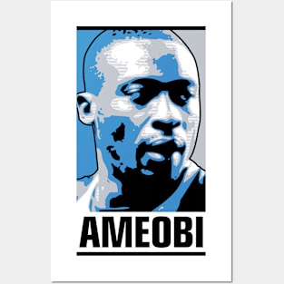 Ameobi Posters and Art